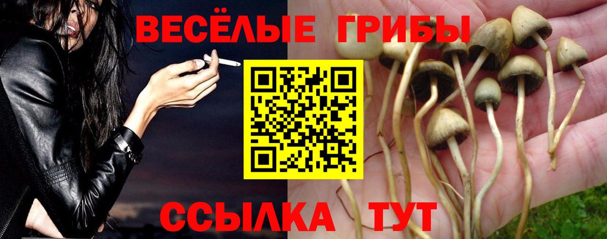 Псилоцибиновые грибы MAGIC MUSHROOMS  Галлюциногенные грибы GOLDEN TEACHER  Жуковский  Вход с VPN 
